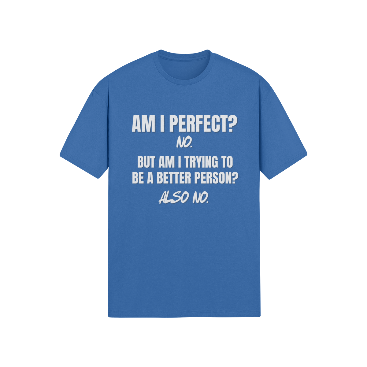 "Am I Perfect?..." - T-Shirt (LT)