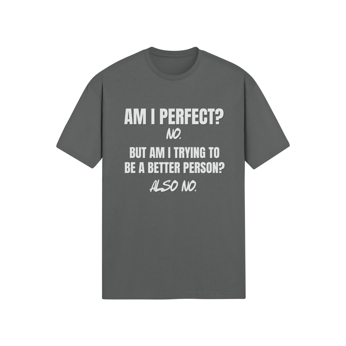 "Am I Perfect?..." - T-Shirt (LT)