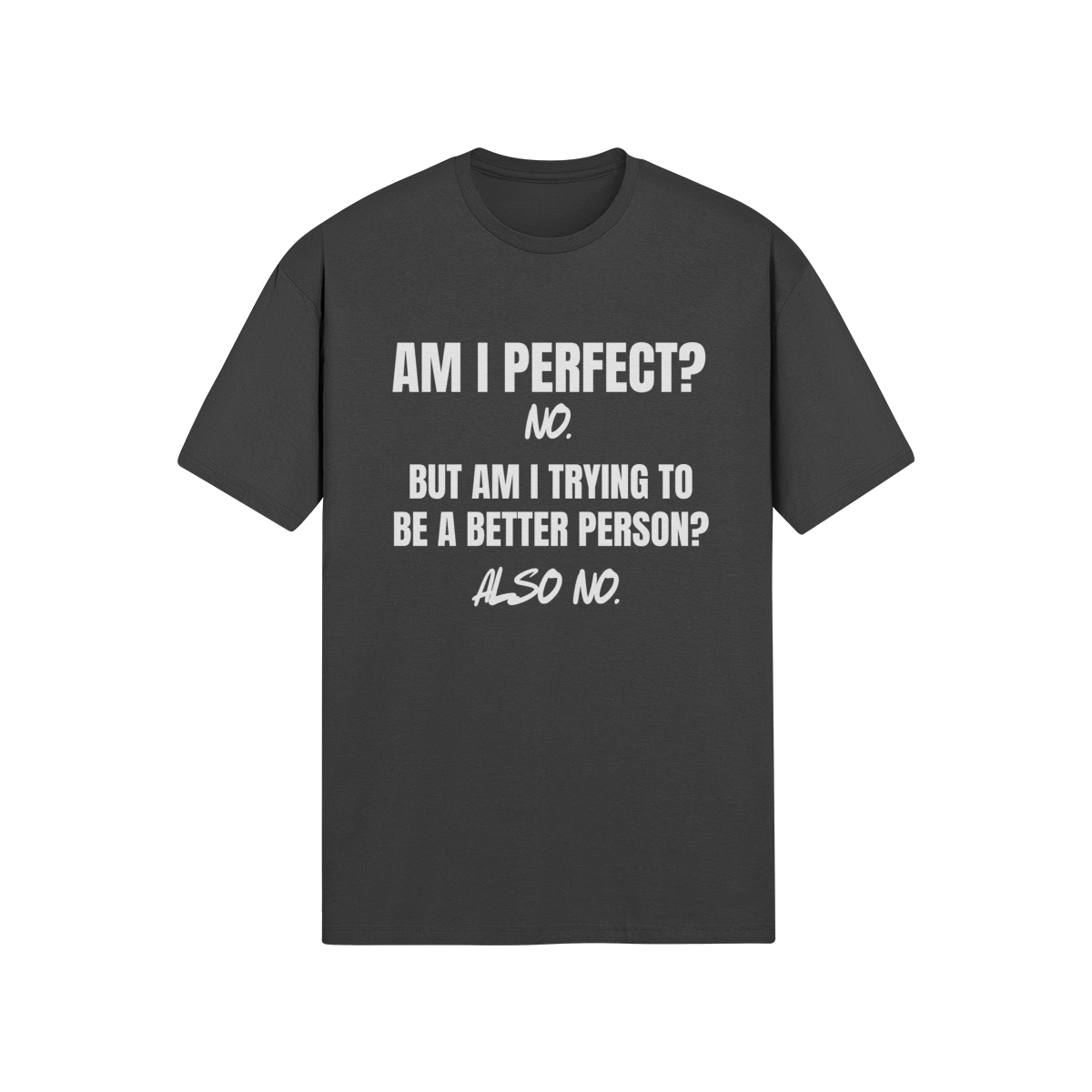 "Am I Perfect?..." - T-Shirt (LT)